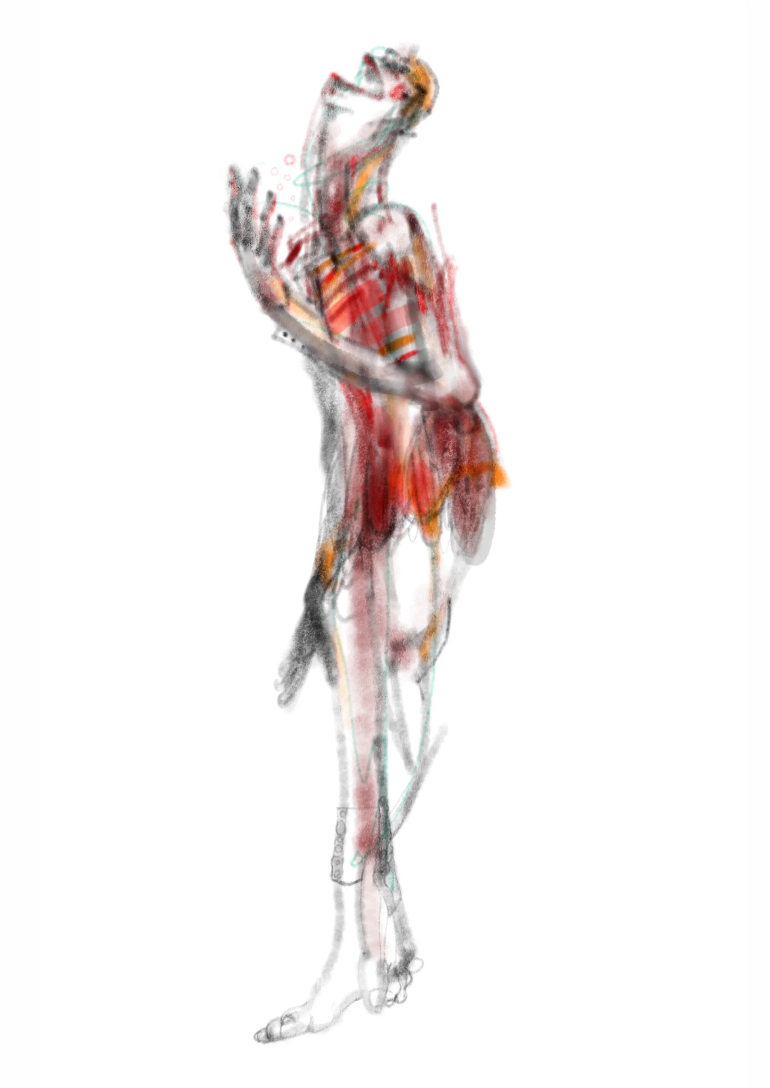 Dibujo digital